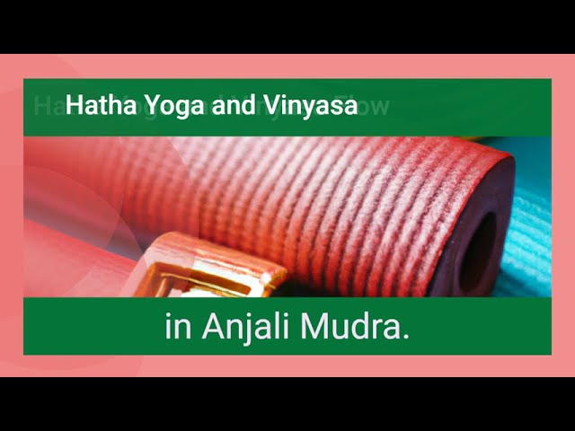 Hatha Yoga Series @yogatips