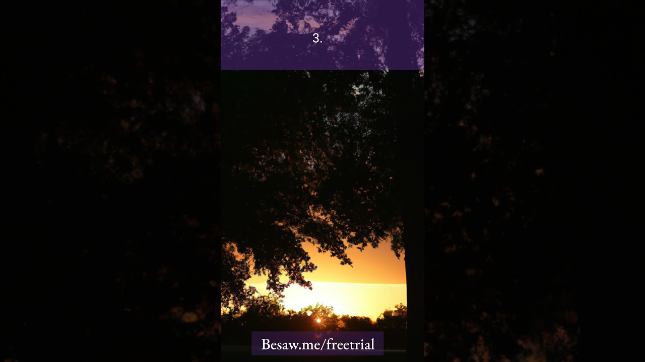 The Surprising Truth About Affiliate Marketing